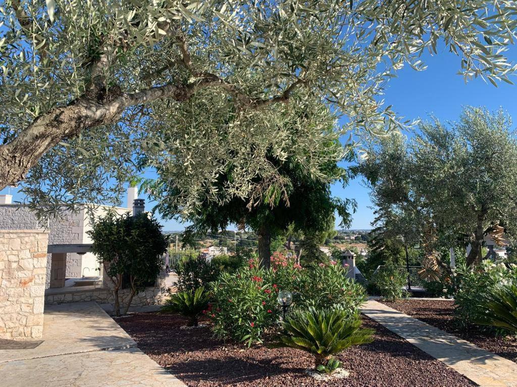 로코로톤도 Maison Dei Trulli 아파트 외부 사진